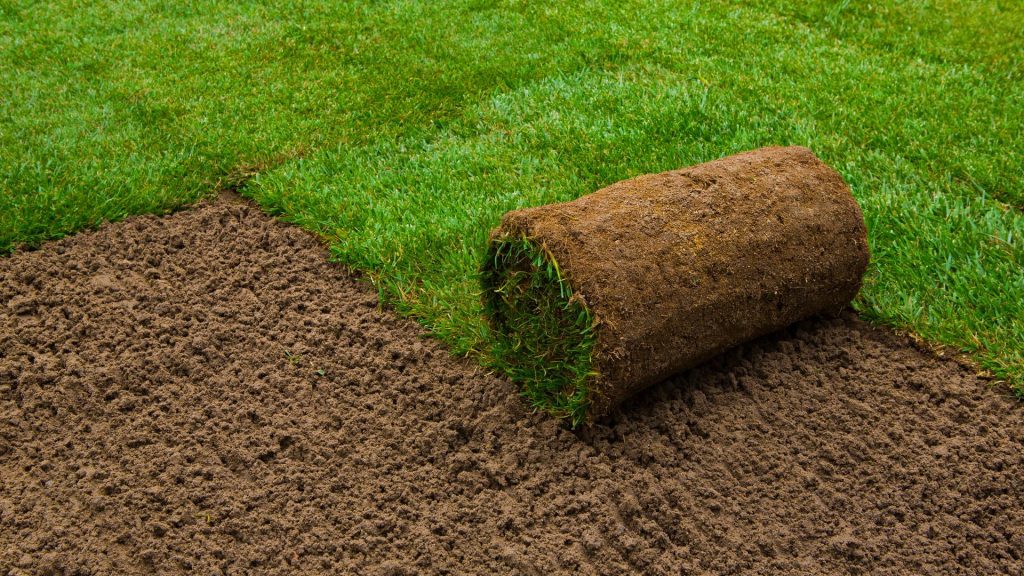A freshly rolled sod lies on the ground, featuring vibrant green grass, prepared for landscaping or lawn enhancement
